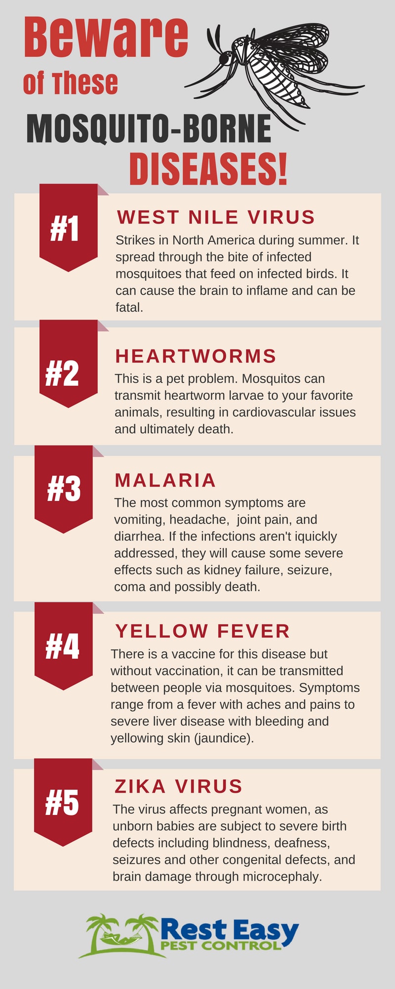 Mosquito Prevention: Protect Your Family from Malicious Mosquito Bites infographic