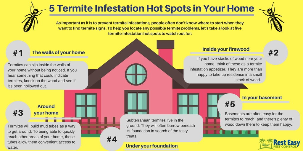 5 Termite Infestation Hot Spots in Your Home, Infographic
