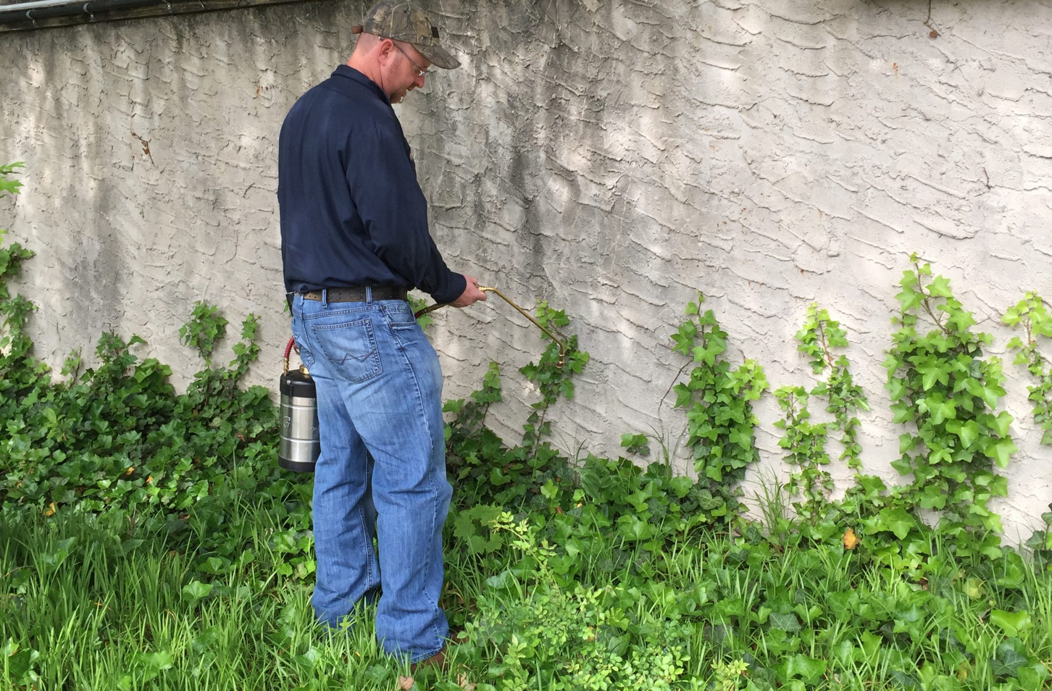 an exterminator is spraying pest around the yard
