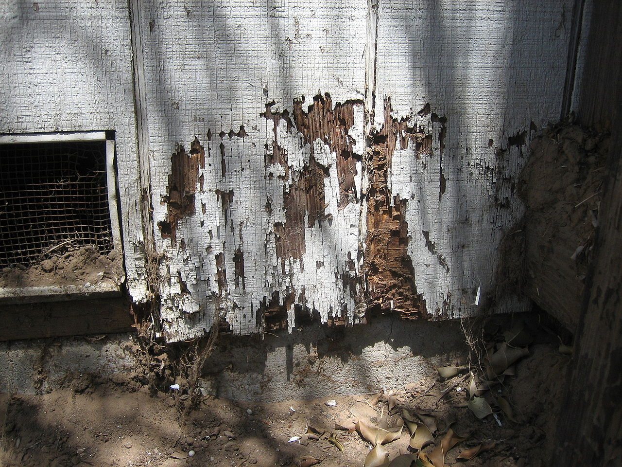 Termite_damage_home.jpeg